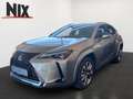 Lexus UX 300e 2.0 Hybrid Entry + Luxury-Paket + HUD Argintiu - thumbnail 1
