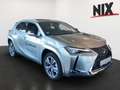 Lexus UX 300e 2.0 Hybrid Entry + Luxury-Paket + HUD Argintiu - thumbnail 2