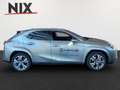 Lexus UX 300e 2.0 Hybrid Entry + Luxury-Paket + HUD Argintiu - thumbnail 3