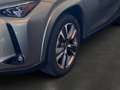 Lexus UX 300e 2.0 Hybrid Entry + Luxury-Paket + HUD Argintiu - thumbnail 8