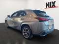 Lexus UX 300e 2.0 Hybrid Entry + Luxury-Paket + HUD Argintiu - thumbnail 5