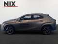 Lexus UX 300e 2.0 Hybrid Entry + Luxury-Paket + HUD Argintiu - thumbnail 6
