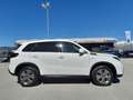 Suzuki Vitara Nuova Vitara 1.4 Hybrid 4WD AllGrip Cool+ Bianco - thumbnail 5