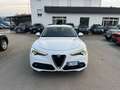 Alfa Romeo Stelvio 2.2 Turbodiesel 150 CV AT8 RWD Business Bianco - thumbnail 1