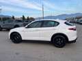 Alfa Romeo Stelvio 2.2 Turbodiesel 150 CV AT8 RWD Business Bianco - thumbnail 8