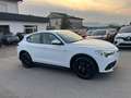 Alfa Romeo Stelvio 2.2 Turbodiesel 150 CV AT8 RWD Business Bianco - thumbnail 4