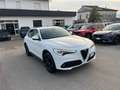 Alfa Romeo Stelvio 2.2 Turbodiesel 150 CV AT8 RWD Business Bianco - thumbnail 3