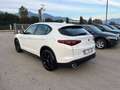 Alfa Romeo Stelvio 2.2 Turbodiesel 150 CV AT8 RWD Business Bianco - thumbnail 7