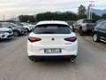 Alfa Romeo Stelvio 2.2 Turbodiesel 150 CV AT8 RWD Business Bianco - thumbnail 5