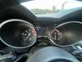 Alfa Romeo Stelvio 2.2 Turbodiesel 150 CV AT8 RWD Business Bianco - thumbnail 13