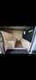 Volkswagen Crafter - thumbnail 7