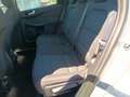 Ford Kuga Kuga 1,5 EcoBlue Cool Grau - thumbnail 20