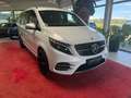 Mercedes-Benz V 250 V 300 d lang EXCLUSIVE EDITION AMG 4MATIC LUFT Blanc - thumbnail 3
