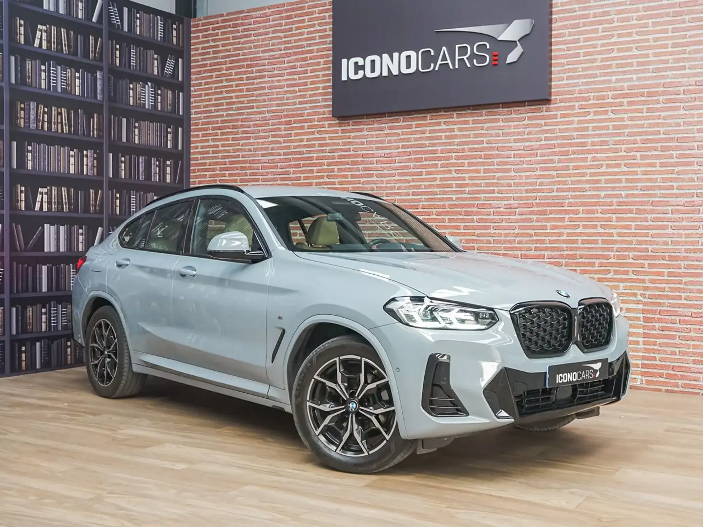 BMW X4 xDrive20d xLine Gris - 2