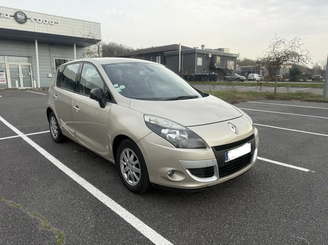 Renault Scenic III 1.6dCi 130 Energy eco2 Exception