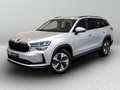Skoda Kodiaq 2.0 tdi evo Executive 150cv dsg 7p.ti Argent - thumbnail 1