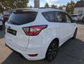 Ford Kuga 1.5 ST-Line BI-XEN*NAV*SHZ*EL-HECKKL*PARK-ASS Weiß - thumbnail 6