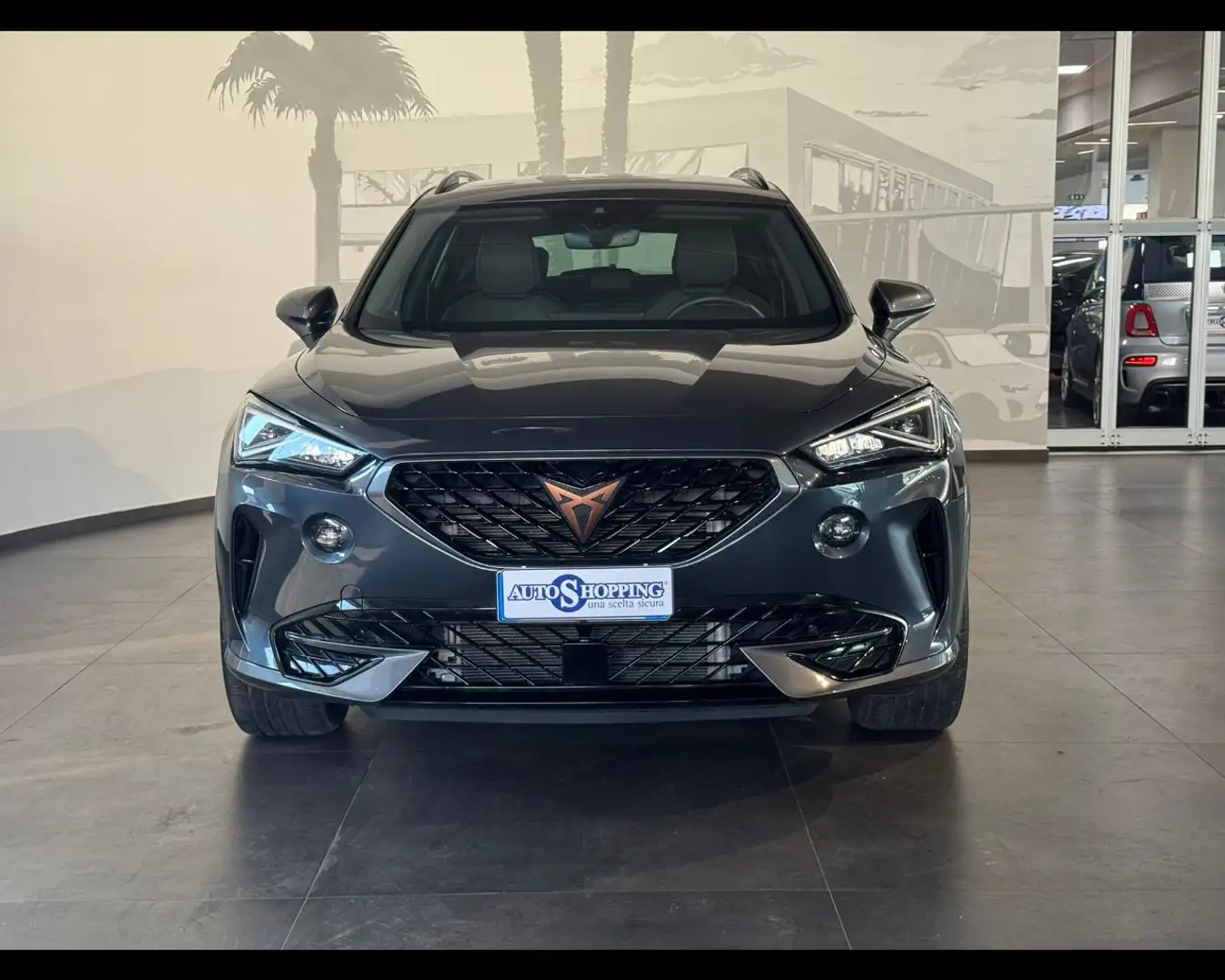 CUPRA Formentor 2.0 TDI 4Drive DSG Grigio - 2