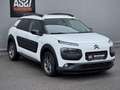 Citroen C4 Cactus 1,6 BHDI Shine Weiß - thumbnail 3