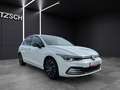 Volkswagen Golf VIII TSI Active LED AHK Navi AID ACC RFK SH Weiß - thumbnail 9