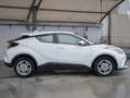 Toyota C-HR 1.8 Hybrid 122 cv Business Edition 36 mesi di garanzia Blanc - thumbnail 18