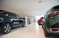 Kia e-Niro ExecutiveLine 64 kWh | Navigatie | Climate Control Blu/Azzurro - thumbnail 5