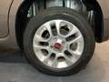 Fiat Panda iii 1.2 s 69 lounge premiere main Gris - thumbnail 13