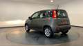 Fiat Panda iii 1.2 s 69 lounge premiere main Gris - thumbnail 8