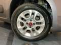 Fiat Panda iii 1.2 s 69 lounge premiere main Gris - thumbnail 20