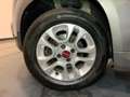Fiat Panda iii 1.2 s 69 lounge premiere main Gris - thumbnail 14