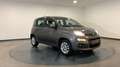 Fiat Panda iii 1.2 s 69 lounge premiere main Gris - thumbnail 4