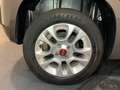 Fiat Panda iii 1.2 s 69 lounge premiere main Gris - thumbnail 16