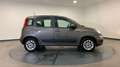 Fiat Panda iii 1.2 s 69 lounge premiere main Gris - thumbnail 5