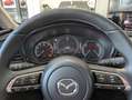Mazda CX-30 e-Skyactiv-G M Hybrid 2WD Ad'Vantage Promo Black Bianco - thumbnail 8