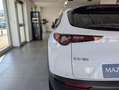 Mazda CX-30 e-Skyactiv-G M Hybrid 2WD Ad'Vantage Promo Black Bianco - thumbnail 5
