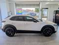 Mazda CX-30 e-Skyactiv-G M Hybrid 2WD Ad'Vantage Promo Black Bianco - thumbnail 4