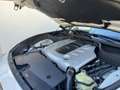 Infiniti FX FX 30d S Premium Aut. S Premium Blanco - thumbnail 22