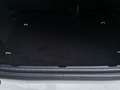 Ford EcoSport 1.0 EcoBoost 125 CV Start&Stop ST-Line Wit - thumbnail 19