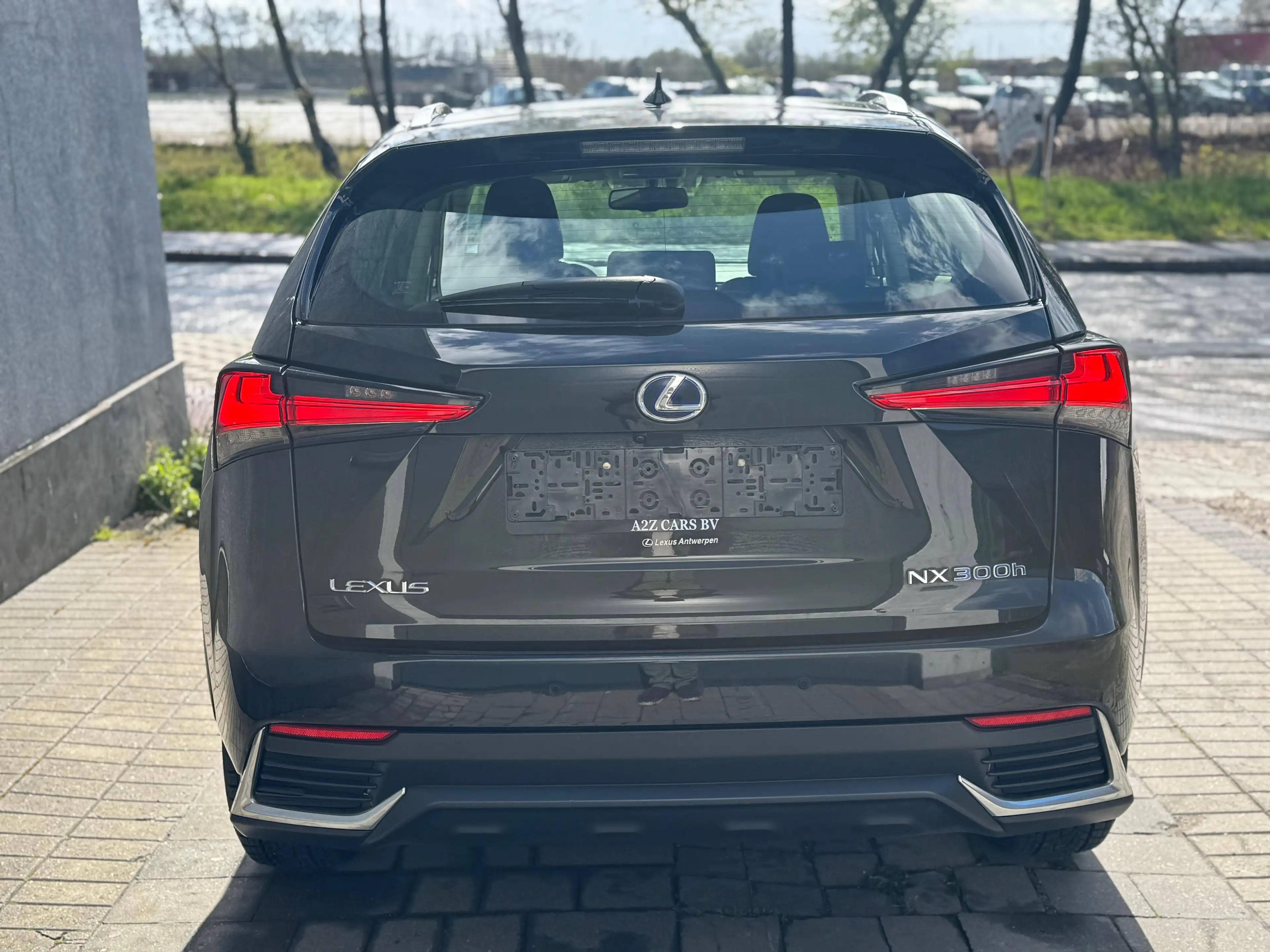 Lexus NX 300h NX 300h 2.5i AWD Business Plus E-CVT — photo 10