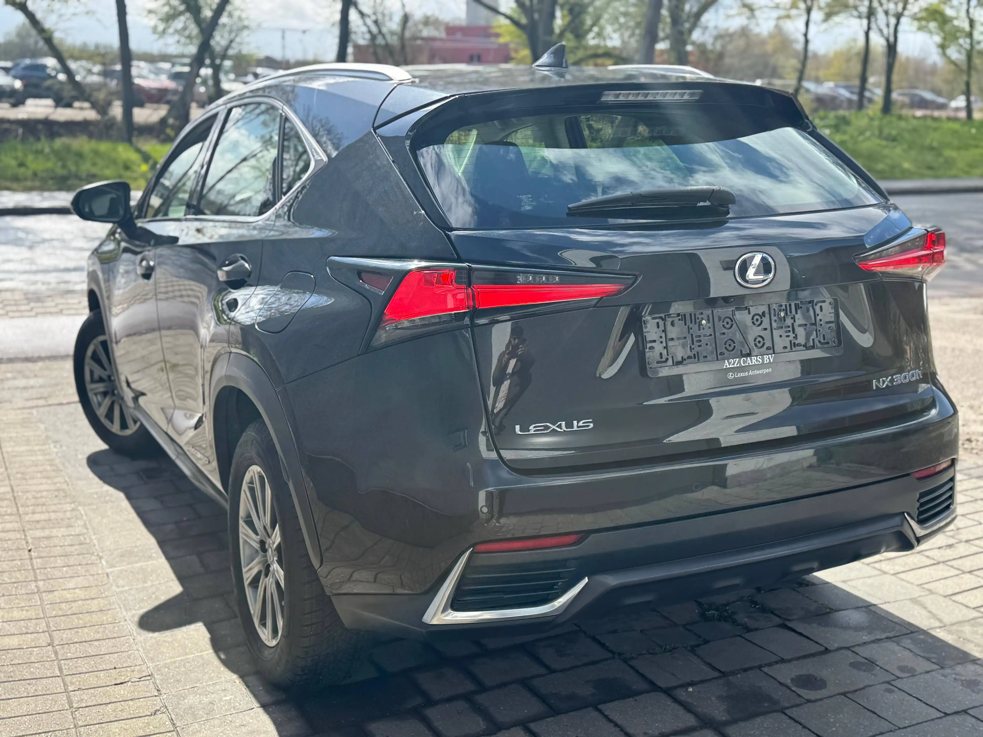 Lexus NX 300h NX 300h 2.5i AWD Business Plus E-CVT — photo 9
