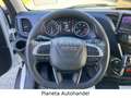 Iveco Daily Fahrgestell Einzelkabine 50 C Weiß - thumbnail 13