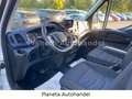 Iveco Daily Fahrgestell Einzelkabine 50 C Weiß - thumbnail 11
