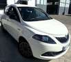 Lancia Ypsilon Ypsilon 1.0 FireFly 5 porte S&S Hybrid Gold Bianco - thumbnail 8