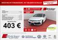 Volkswagen Golf R 2.0TSI 403,-ohne Anzahlung ACC Pano Kamera Weiß - thumbnail 1