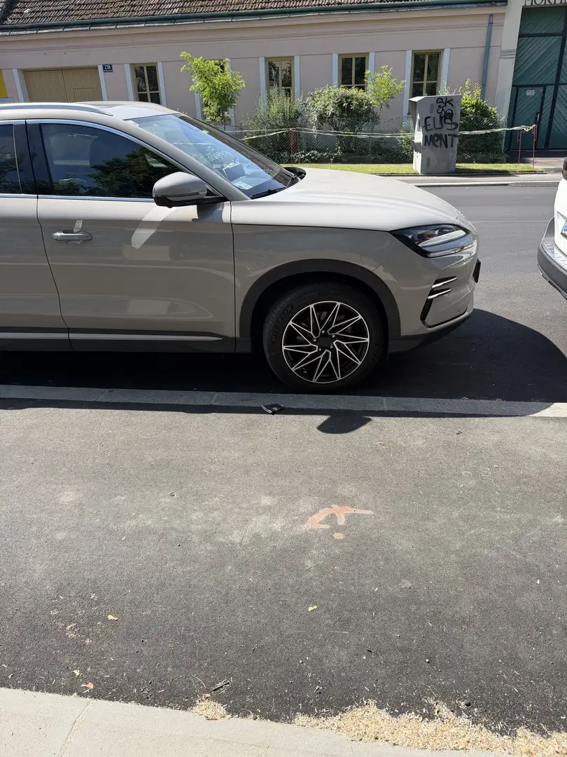 BYD Seal U Daizing Bronze - 2