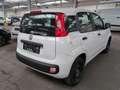 Fiat Panda Easy*KLIMA*8 FACH BEREIFT* Weiß - thumbnail 3