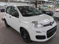 Fiat Panda Easy*KLIMA*8 FACH BEREIFT* Weiß - thumbnail 2
