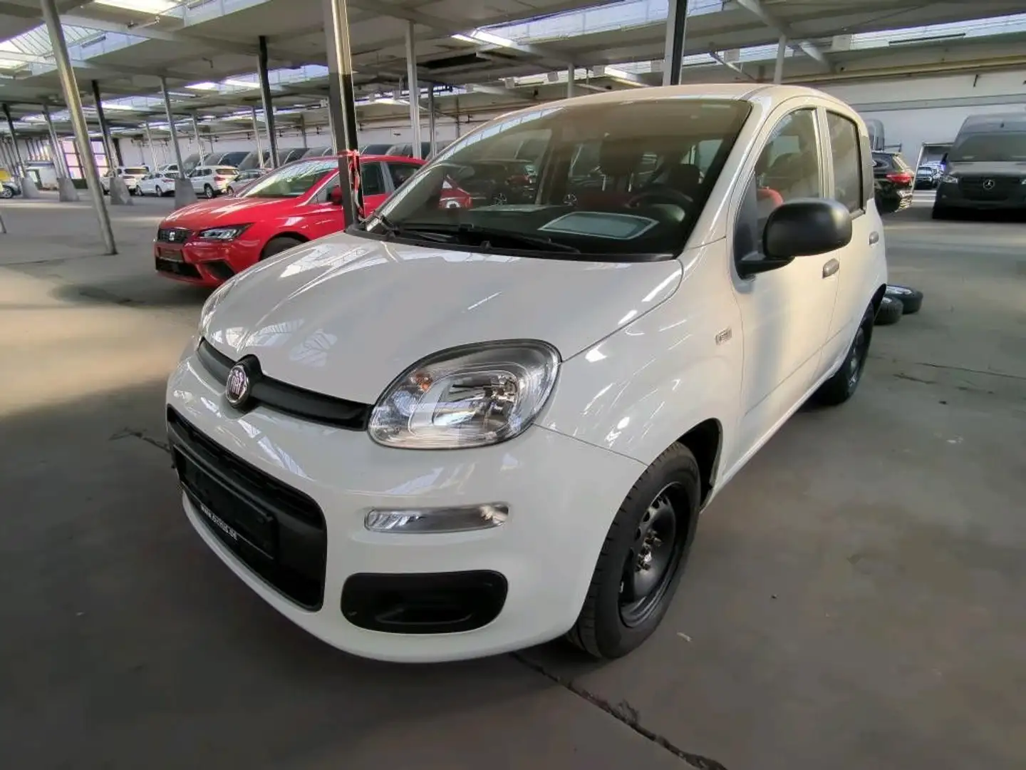 Fiat Panda Easy*KLIMA*8 FACH BEREIFT* Weiß - 1