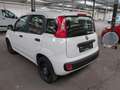 Fiat Panda Easy*KLIMA*8 FACH BEREIFT* Weiß - thumbnail 4