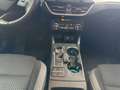 Ford Focus SW 1.5 ecoblue Business Co-pilot s&s 120cv auto Gris - thumbnail 14